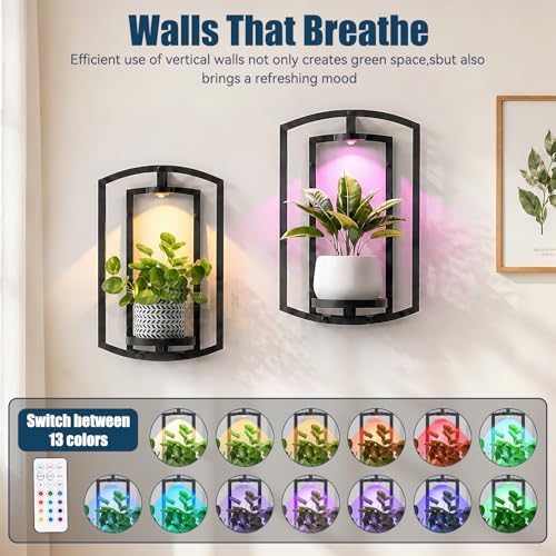 Wall Plant Holder with Remote Grow Lights, Framed Plants Holder - Image 4