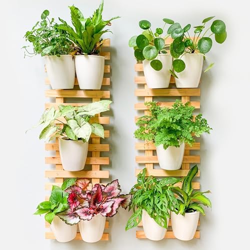 ShopLaLa Wall Planter Large Wooden Ladder Hanging Planters by ShopLaLa