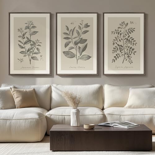 Large Framed 3 Piece Vintage Botanical Wall Art by Cuspin