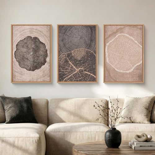 HOURIA Tree Ring Abstract Neutral Brown Framed Canvas Wall Art Set, Mid Century - Image 3
