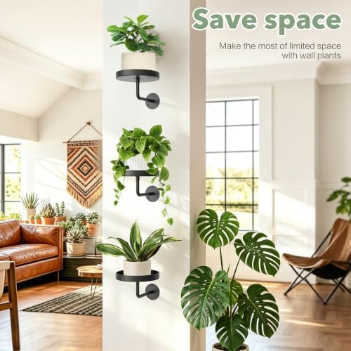 Wall Plant Holder, 6.3 Inch Metal Plant Hanger Indoor Wall Planter, Wall - Image 4