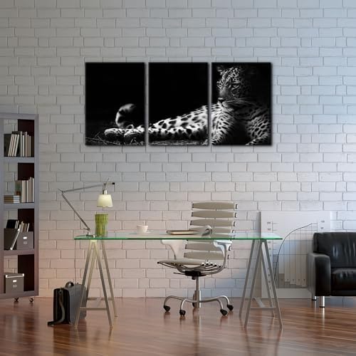 Pacimo Animals Wall Art Set of 3 - Image 3
