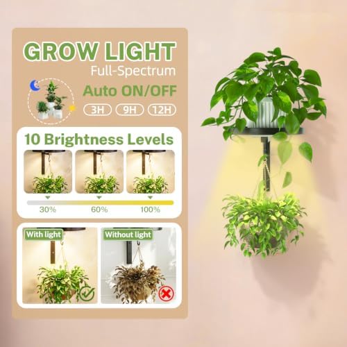 iDavosic.ly Plant Wall Hanger - Image 3
