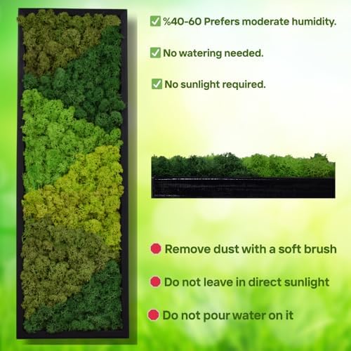 Large Moss Pattern Wall Art, Real Moss Wall Art - Image 4