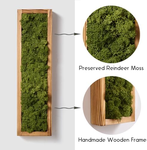 Mokof Preserved Moss Wall Art Decor, Moss Green, 4 Pack - Image 6