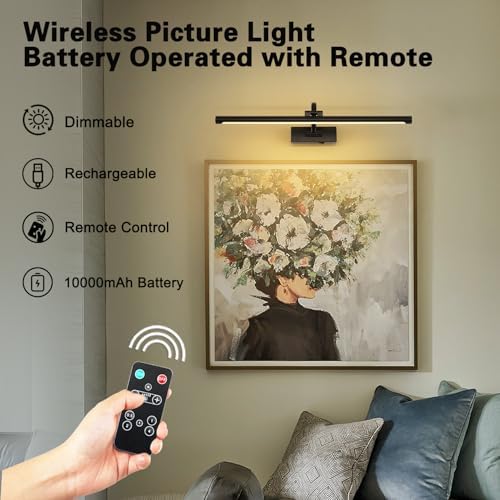 DESOOP Dimmable Black Picture Lights - Image 6