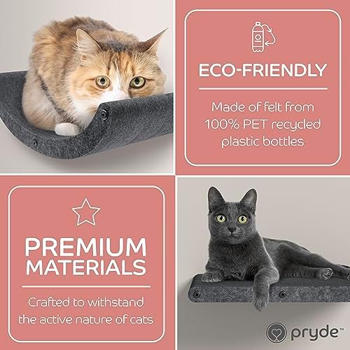 Cat Wall Shelves - Image 6