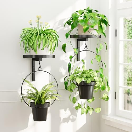 iDavosic.ly Plant Wall Hanger Set of 2 by iDavosicly