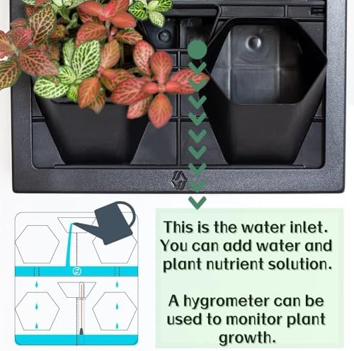 Wall-Mounted Planters Indoor, Living Wall Planter - Image 6