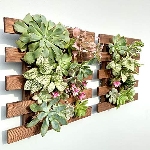 ShopLaLa Wall Planter by ShopLaLa