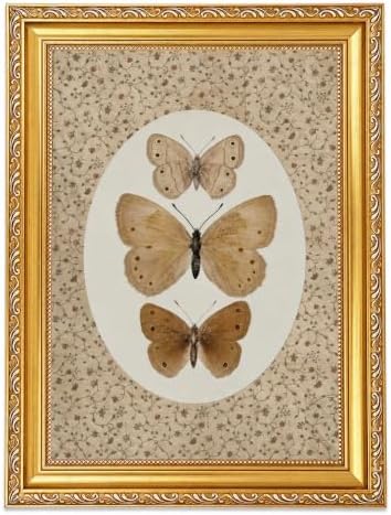 Vintage Butterfly Specimen Wall Art by BringCharacterHome