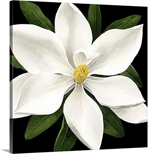 CANVAS ON DEMAND Midnight Magnolia I Canvas Wall Art Print by Grace Popp by CanvasOnDemand