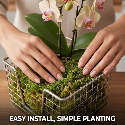 2Pack Stainless Steel Staghorn Fern Wall Planter Basket - Image 4