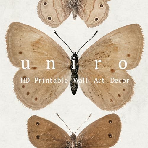 uniro Vintage Butterfly Canvas Wall Art, Bedroom Bathroom Shelf Retro Butterfly - Image 6