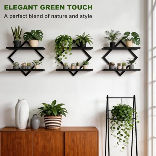Set of 3 Wall Plant Holder - Image 5