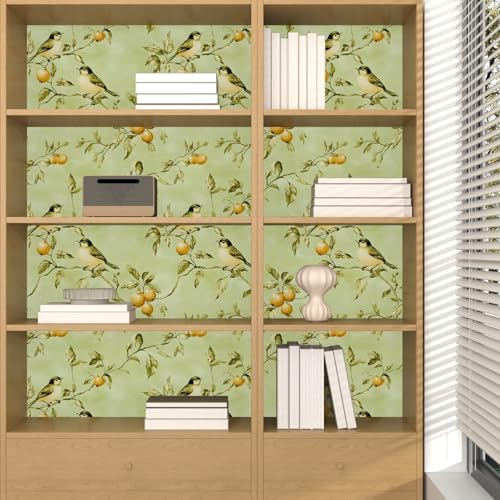 Laatse Vintage Green Bird Floral Botanical Wallpaper 17.5"x118" - Image 6