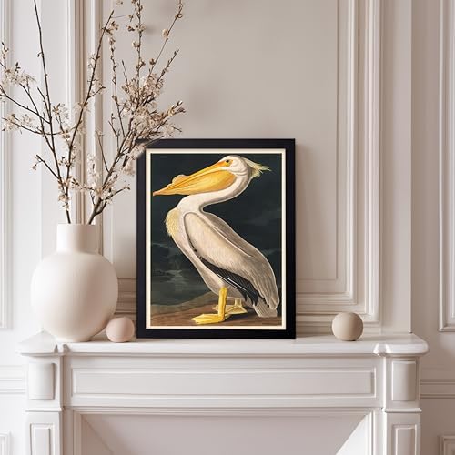 Poster Master Vintage John James Audubon Poster - Image 5