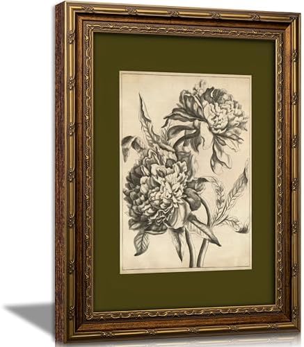 Vintage Gold Framed Floral Canvas Wall Art, Retro Flower Sketch Botanical by VintageGoldFramedWallArt