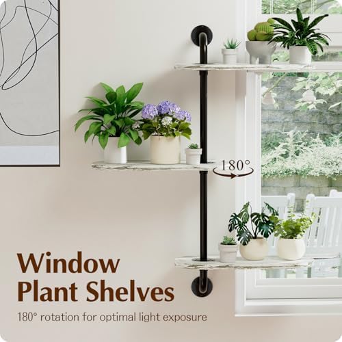 Rotating Window Plant Shelves 3-Tier, Wooden Window Shelf - Image 3