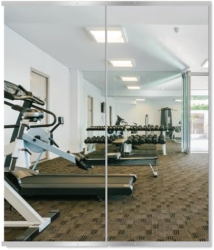 Delma Home Gym Mirror by Delma