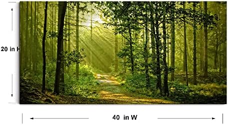 Green Morning Sunlight Forest Scenery Canvas Wall Art - Image 4