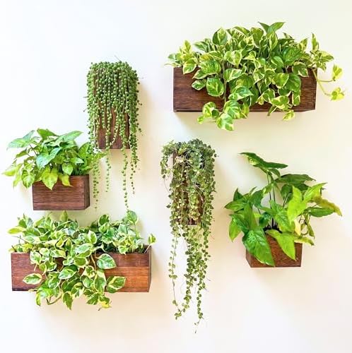 LaLaGreen Wood Planter Box for Plants Wall Planters for Indoor by L%C3%A1L%C3%A1Green