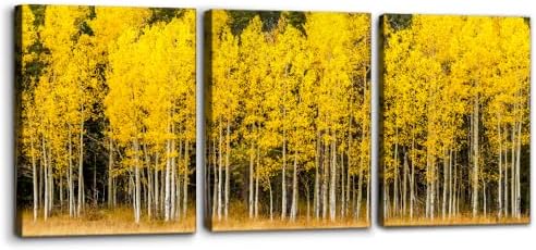 Pacimo Fall Landscape Canvas Wall Art Yellow Aspen Trees and Green Pine Trees by Pacimo