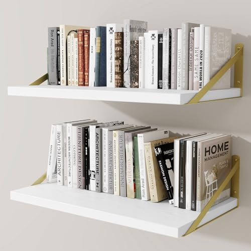 Deep Wall Shelves 24"W x 12"D Engineered Wood Floating Shelves by Venusmiles