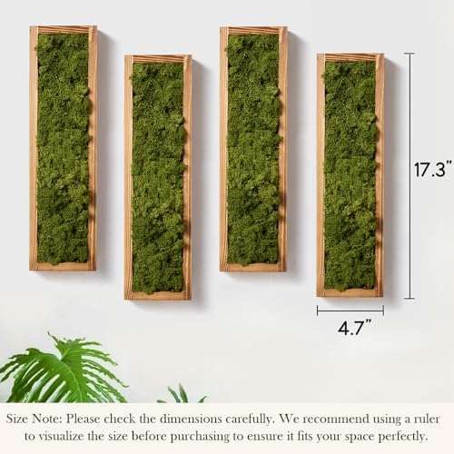Mokof Preserved Moss Wall Art Decor, Moss Green, 4 Pack - Image 3