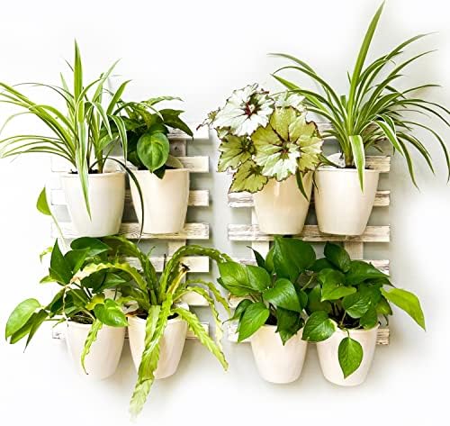 ShopLaLa Wooden Wall Planters by ShopLaLa