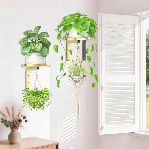 iDavosic.ly Plant Wall Hanger Holder Set of 2 - Image 6
