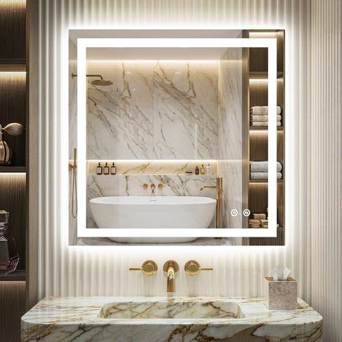 Delma LED Vanity Mirror with Lights 30x30 Inch, Front & Backlit Bathroom Mirror by Delma