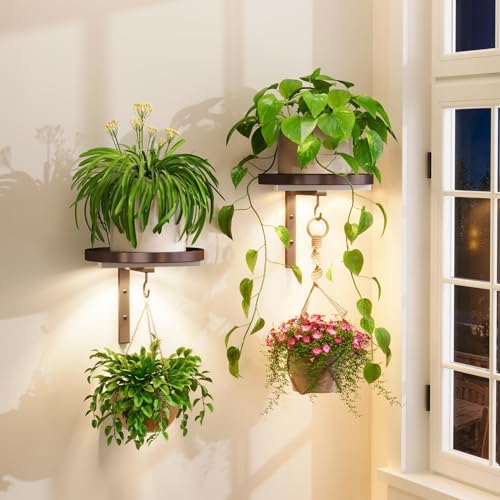 iDavosic.ly Plant Wall Hanger by iDavosicly