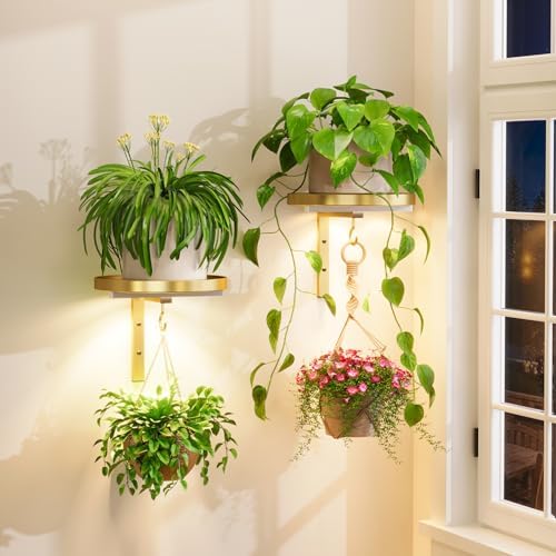 iDavosic.ly Plant Wall Hanger by iDavosicly