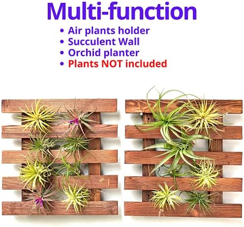 ShopLaLa Wall Planter - Image 6