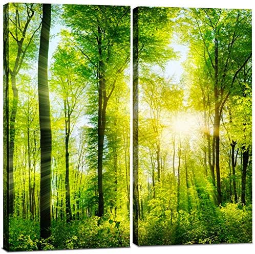 Forest Canvas Wall Art, 24x24 Tree Landscape Picture 2 Piece Set by LovelyHomeEssentials