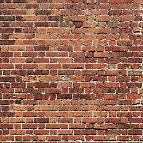 AIIKES 8x8FT Red Brick Wall Photography Backdrop Thin Vinyl Photo Backdrops by AIIKESbackdrop