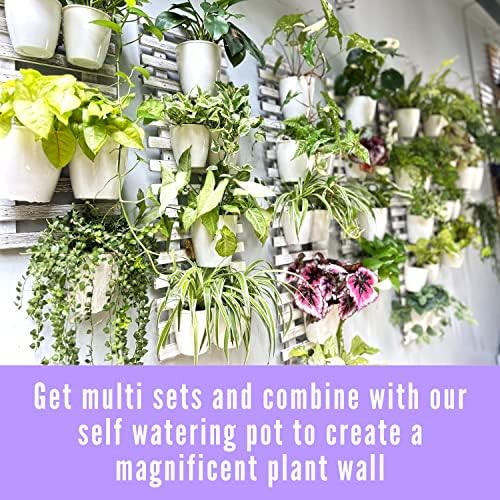 ShopLaLa Wooden Wall Planters - Image 5