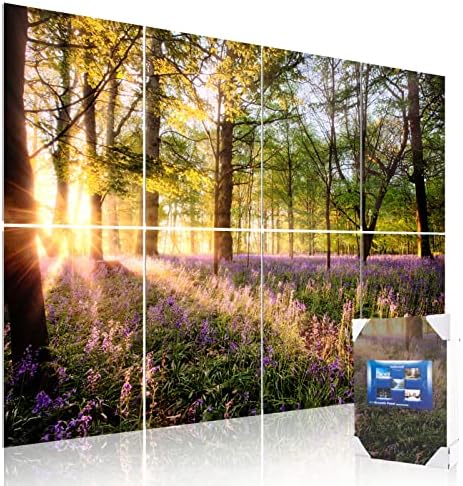 Mollywell Art Acoustic Panels, 48x32 in, Forest Spring by Mollywell