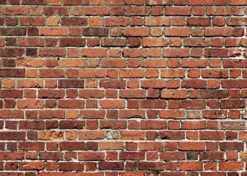 AIIKES 7x5FT Red Brick Wall Backdrop Brick Photography Backdrops Baby Birthday by AIIKESbackdrop