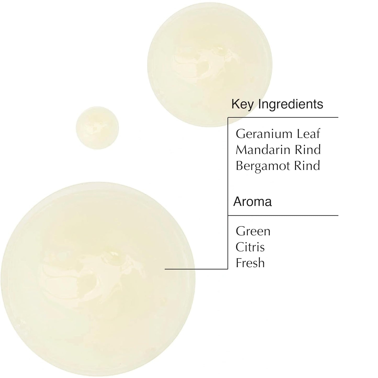 Aesop Geranium Leaf Body Cleanser | Non-drying Gentle Cleanser | Geranium Leaf, Mandarin Rind, Bergamot Rind | 16.9 oz / 500mL (Pack of 3)