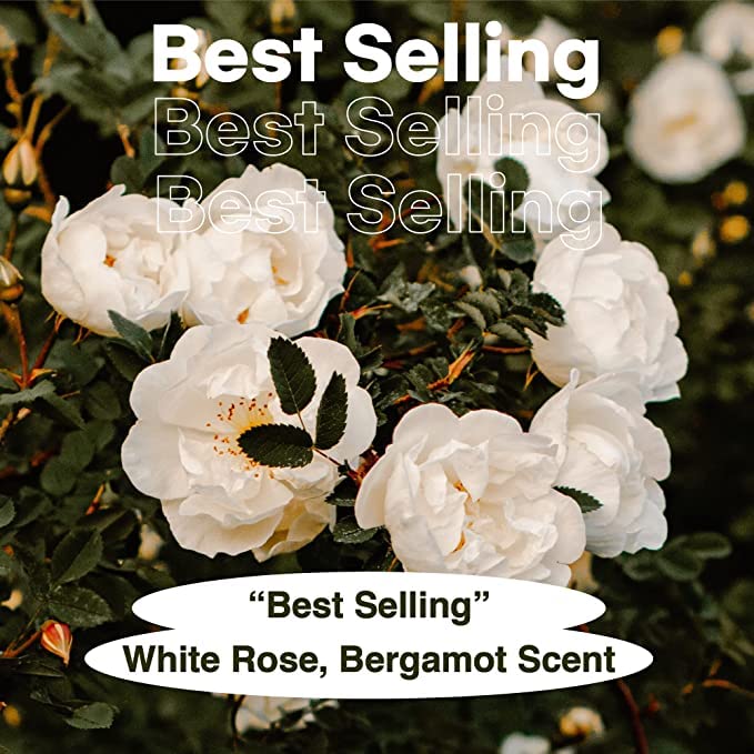 skybottle Hand Cream, Nourishes Very Dry Hands, Korean Hand Lotion, Hand Care for Women & Men, Perfumed with Bergamot, White Rose Scent with Shea Butter, 1.7 Fl. Oz