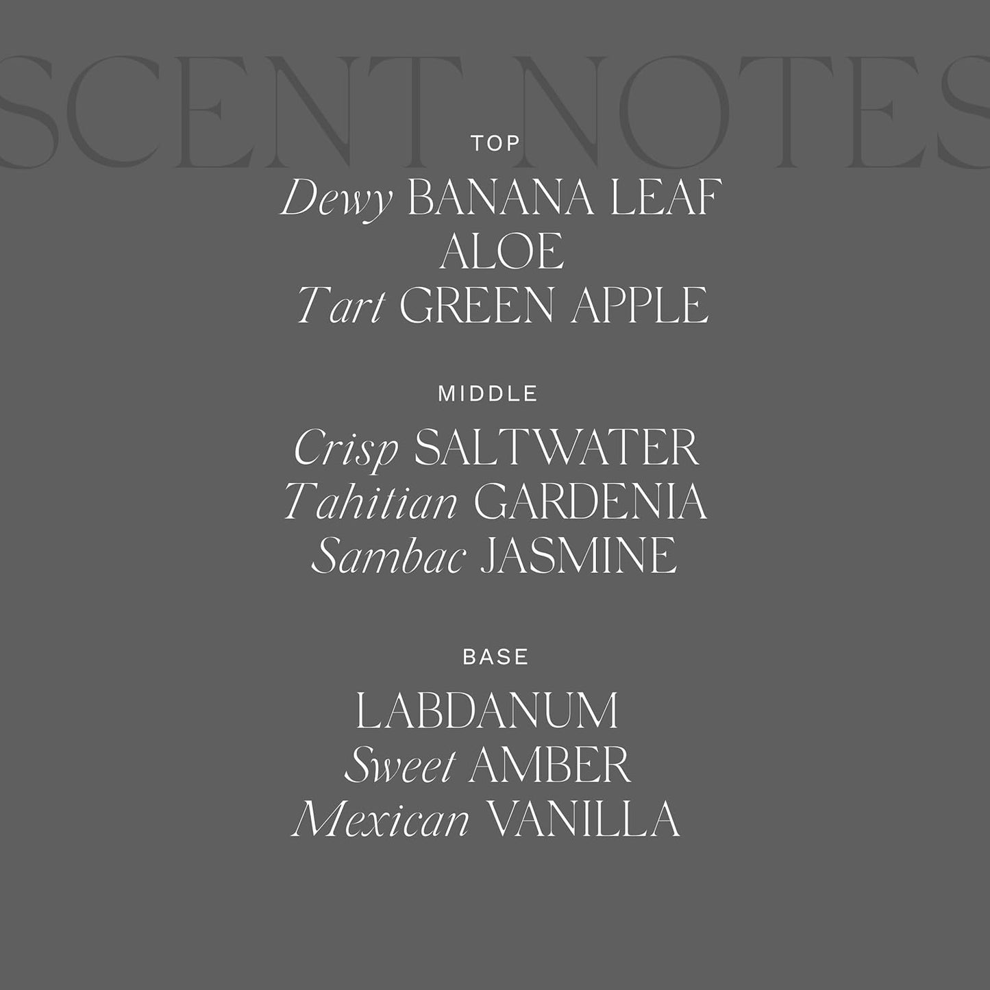 Antica Farmacista Body Moisturizer - Moisturizing Scented Lotion - Premium Body Moisturizer - Luxury Gift for Women & Men - Hand & Skin Hydration - Lush Palm, 10 Fl Oz