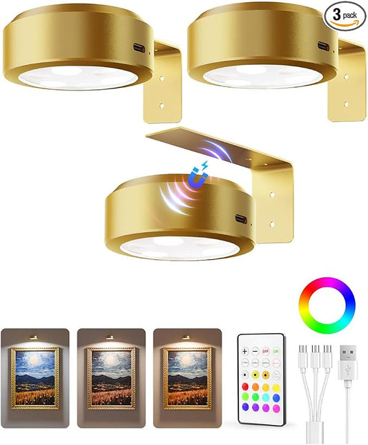 EZVALO Picture Lights for Wall, 2000mAh Rechargeable Battery Magnetic Poster by EZVALO