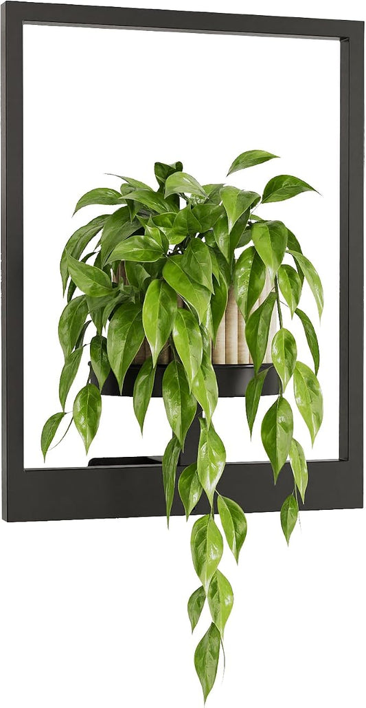 Bamworld Plant Stand Indoor Wall Decor Metal Plant Hanger Indoor Hanging Plant by Bamworld