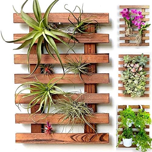 ShopLaLa Wall Planter Wooden Air Plants Succulent Holder by ShopLaLa