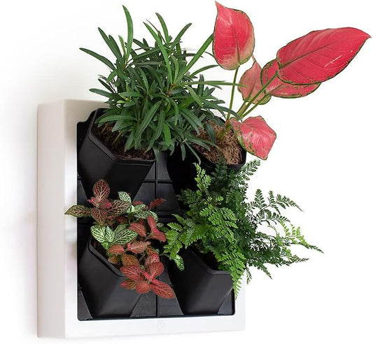 Self Watering Wall Planter by Inspiration+Jungle