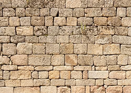 BELECO 10x8ft Fabric Vintage Brick Stone Wall Backdrop - Image 2