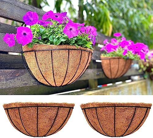 LaLaGreen Large Wall Planter Coco Liner Flower Baskets by L%C3%A1L%C3%A1Green