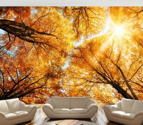 Warm Golden Autumn Tree Canopy Sun Glow Wallpaper Peel Stick - Image 4